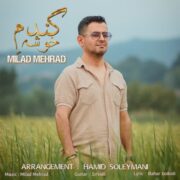 دانلود آهنگ جدید میلاد مهراد گندم خوشه